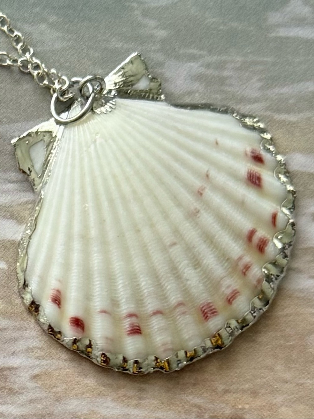 Delicate Silver Edge Scallop Shell Pendant Necklace on Silver Chain